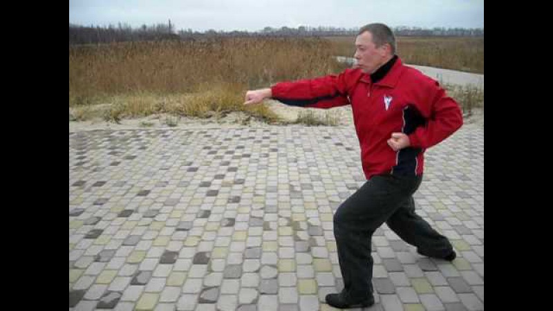 ката шотокан HEIAN NIDAN