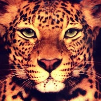 Елена Поддубная | 