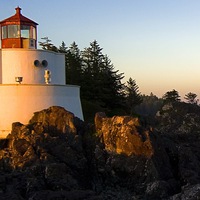 Юлия Михайленко | Киев