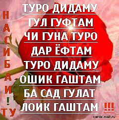Картинки рубоетхои ошики