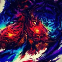 Екатерина Соколова