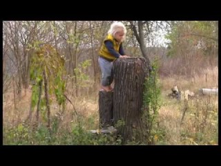 Украина: 1500 семей в 100-та Родовых Поместьях.