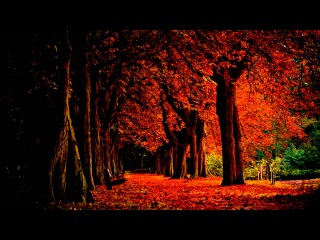 Nargaroth - Herbst (Sub - Español/English)