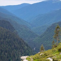 Эльвира Набиуллина