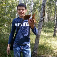 Владимир Шалимов | 