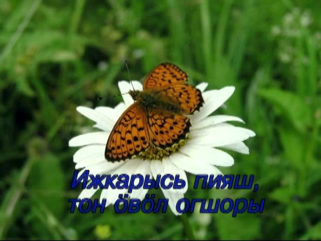 Удмурт караоке. Алнашысь нылаш.