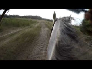Anna Sokólska and Czanar - horseback archery - very fast