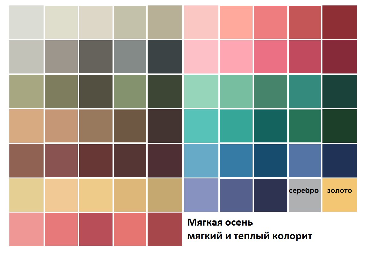 Палитра какой цвет подойдет. Цветотип мягкая осень палитра. Цветотип внешности осень палитра. Палитра для цветотипа мягкая осень. Колорит мягкая осень палитра.
