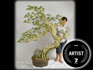 Art Prize 2012 Grand Rapids, MI - Bonsai Charm of the East by Oksana Loboda- sculpture