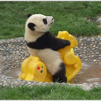 Алина Янбаева