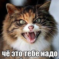 Максим Леонидович