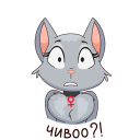 8Z5n0UgXoQY.png