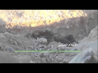 قوات الجيش السوري تتقدم غرب تدمر بريف حمص ا