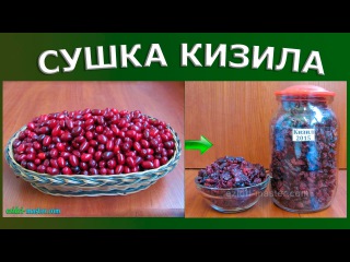 Сушка кизила