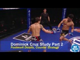BJJ Scout: Dominick Cruz Study Part 2 - Footwork Details and Counter Strategy