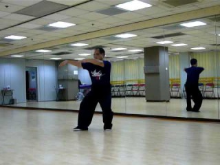 意拳養生功之神龜出水〔弓箭步〕施建安演繹