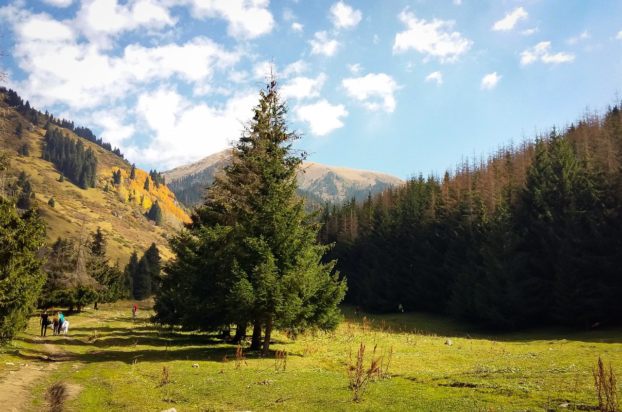 Казахстан жж