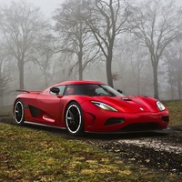 Алексей Сорока | 