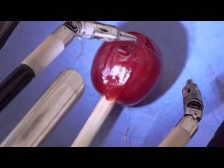 Incredible: Robot Stitches A Grape Back Together!