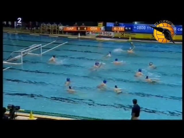 Water Polo (coub3)