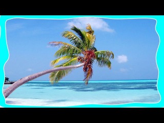 ТОП 10 САМЫХ лучших пляжей в мире
