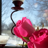 Вера Скоркова