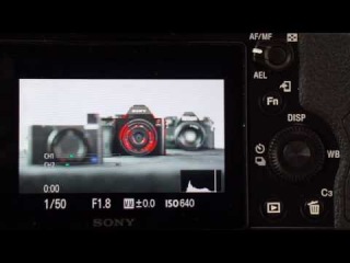 Focus Peaking and Magnify Focus - Sony Alpha Tutorial