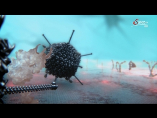 Внутренняя вселенная: Тайная жизнь клетки / Our Secret Universe: The Hidden Life of the Cell (2012)