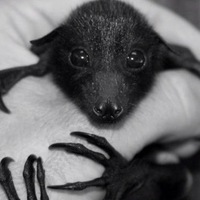 Аня Иванова