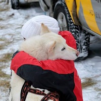 Дия Гвазава