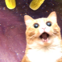 Ревекка Вихьманн