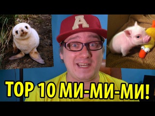 TOP10 Самых Милых Детенышей!