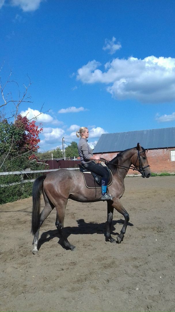 Анна Истомина