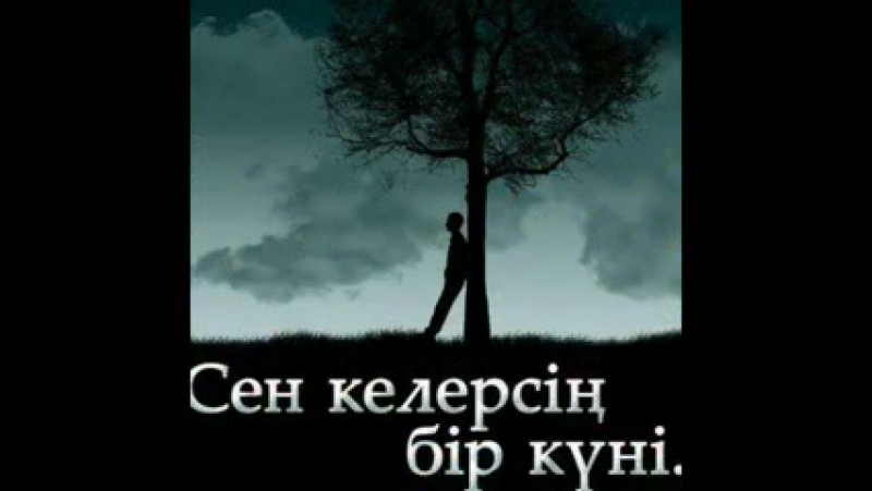 о махаббат сегиз арип бир арман