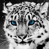 Нурик Уразбаев