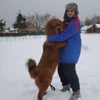Александр Баранов