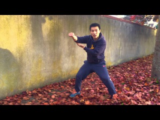 Shaolin Kung Fu Drills - Ma Bu Punch
