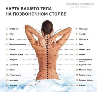 Массаж формирование костно-силовых качеств кости и сустава болезни суставов артроз артрит