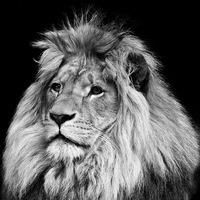 Измаил Елескин