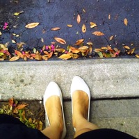 Елена Афанасьева