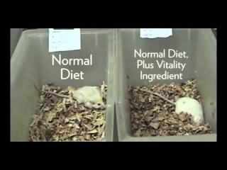 AgeLOC Vitality - что делает регулятор скорости старения