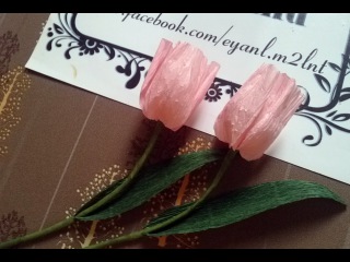 Tulip paper flower - Làm hoa tulip giấy