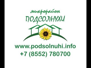 РЕН ТВ - СТВ. Активисты из поселка Подсолнухи, праздничный автопробег.