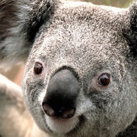 Сергей Булдаков | 