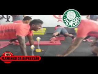 RODINEI TROLLANDO O PALMARES