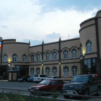 Светлана Карташева | 