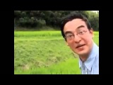 Welcome to the rice fields