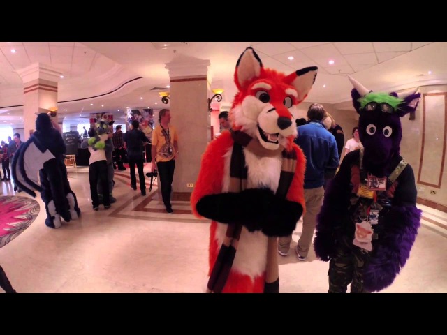 Confuzzled 2015