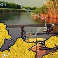 Телебзда Тарас