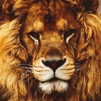 Ярослав Шевченко